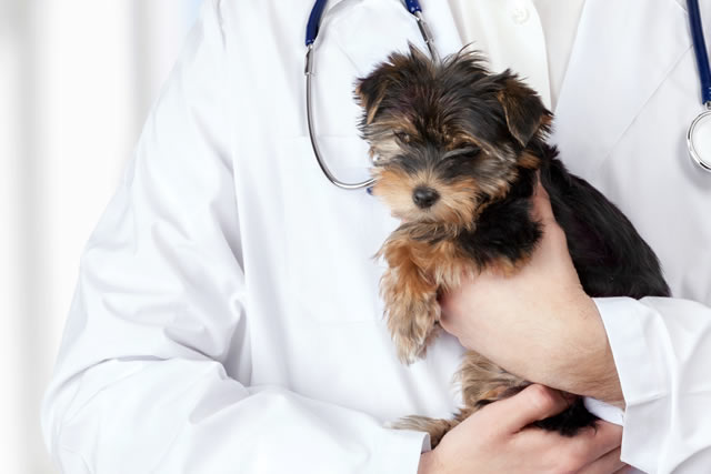 ２．通院、往診、オンライン診療が選べます